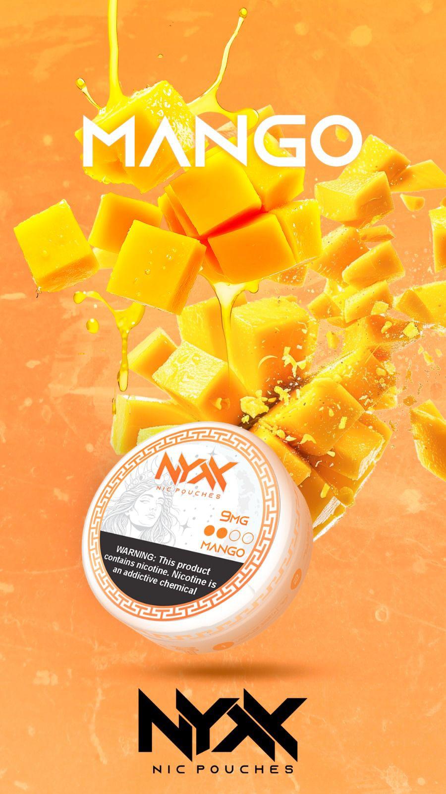 Nyxx Pouches - Sachê de Nicotina - Imagem 3